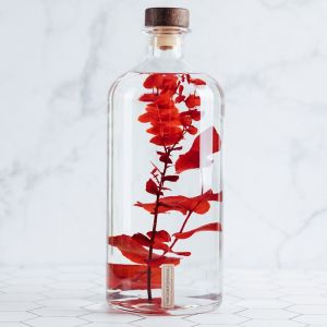 Th&eacute;ophile Berthon Eucalyptus rouge immerg&eacute; - La Jarre 3L