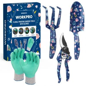 Ensemble d'Outils de Jardinage 4 Pi&egrave;ces, Outils en Acier Inoxydable avec Gants, S&eacute;cateur, Truelle de Jardin, R&acirc;teau &agrave; Main, Id&eacute;al pour Taille et