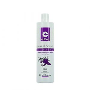 Coiffeo Shampooing cheveux blonds et blancs