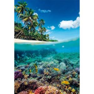 Clementoni Puzzle Compact 1000 pièces : Le Paradis d'Été