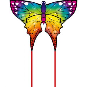 Cerf-volant HQ-Invento Ecoline Papillon Arc-En-Ciel (x2)