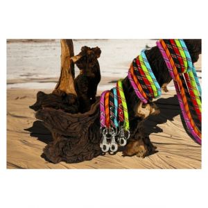 Zolux Collier nylon corde étrangleur 65 cm Rouge