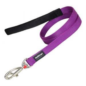 Laisse pour Chien 1 5 120 cm