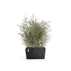 Image de Jardini&egrave;re Paris 60 Gris Fonc&eacute; - 60 x 26 x H. 40 cm - 46,7 L