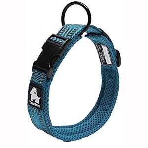 True Love Collier pour chien confortable en Nylon rembourr&eacute; + bande r&eacute;fl&eacute;chissante 3M. Couleur Bleu Roy Taille S