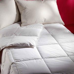 Couette Naturelle Tr&egrave;s L&eacute;g&egrave;re 30% Duvet 220 gr/m&sup2;