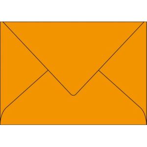 Pollen 20 enveloppes 16,2 x 22,9 cm (120 g)