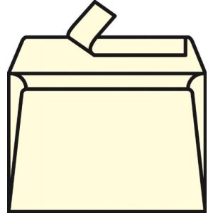 Pollen 20 enveloppes 16,2 x 22,9 cm (120 g)