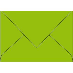 Pollen 20 enveloppes 16,2 x 22,9 cm (120 g)