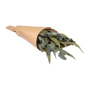 Rayher Fleurs s&eacute;ch&eacute;es 30-35 cm Botte d'eucalyptus