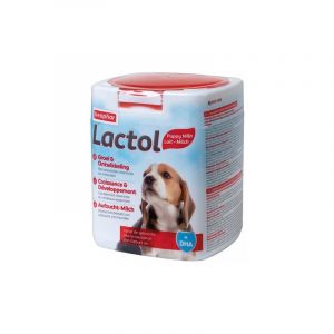 Beaphar Behark Lactol Chiot Lait lait en poudre pour chiots, 500 gr