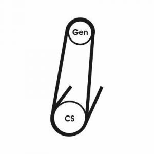 Contitech 4PK592 ELAST COURROIE STRIEE