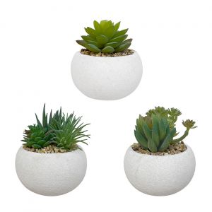 Image de Alba Plantes Succulentes - Plantes grasses artificielles en pot pour décoration intérieur - Lot de 3