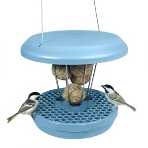 Swissinno Mangeoire à Oiseaux Extérieur - Distributeur de Boules de Graisse pour Petit Oiseaux - Anti-Rats et Anti-Souris - Lucerne SMART BIRDS - Porte-Boules de Graisse avec Récupérateur - Gris Clair