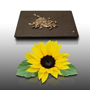 50 graines Fleurs à semer - Le Grenier d' Abondance - TOURNESOL Soleil - haie végétale - Helianthus annuus