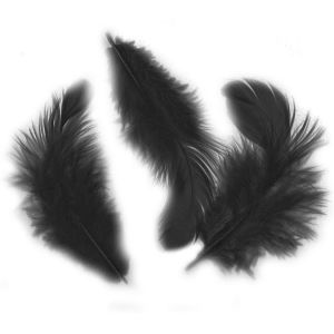 Image de Artémio Plumes en sachet 10 g Noir