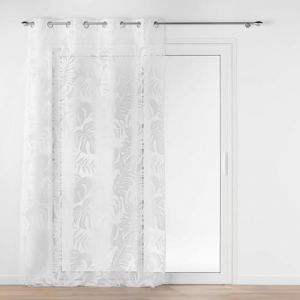 Voilage a oeillets 140 x 240 cm voile dévoré métallisé Magnolia
