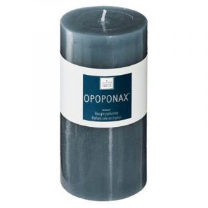 Bougie Parf ée "Elea" 411g Opoponax Prix