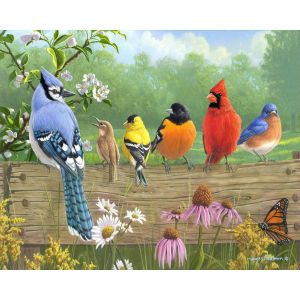 Figured'Art Peinture par Num&eacute;ro Adulte avec Cadre Oiseaux sur la barri&egrave;re - Activit&eacute; Manuelle Kit de Loisir Cr&eacute;atif DIY Num&eacute;ro d'Art Complet - 40x50cm toile tendue sur ch&acirc;ssis