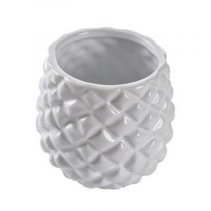 Image de Pot de Fleurs Ananas "Jardin d'Hiver" 12cm Blanc Prix