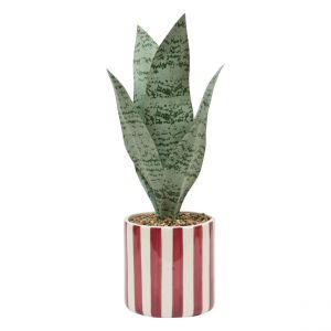 Image de Plante artificielle en pot Cheri Framboise