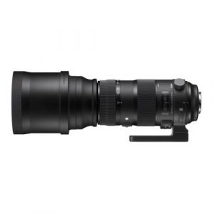 Sigma Téléobjectif sport 150 600 mm F5 6.3 DG OS HSM