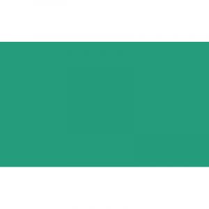 Caran d'Ache Crayon Luminance 6901 de C Vert B&eacute;ryl