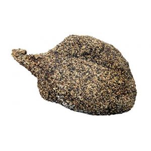 Noix épaule poivre env. 600 gr