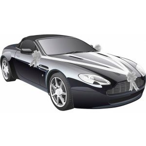 Ruedelafete Kit D&eacute;co Voiture 5 pi&egrave;ces, bicolore Blanc/Argent