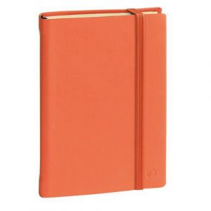 Image de Quo Vadis Carnet 15 Ligné Silk - 10x15cm - avec élastique - Orange abricot - Lot de 2