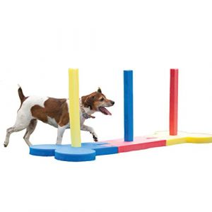 Image de Rosewood Piquets slalom d'agilité - Pour chiot