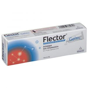 Laboratoires Genevrier Flector 1% Gel tube 60g
