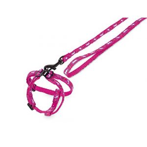 Nobby HARNAIS/LAISSE MOTIF CAROTTE POUR LAPIN MAUVE