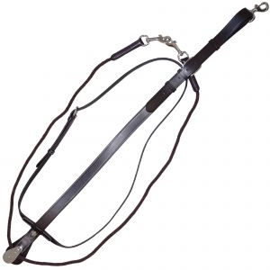 Martingale pour cheval Canter Howlett