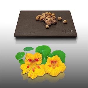 20 graines de Fleurs à semer - Le Grenier d' Abondance - CAPUCINE De Lobb - Tropaeolum majus