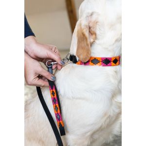 Laisse pour chien HFI Polo