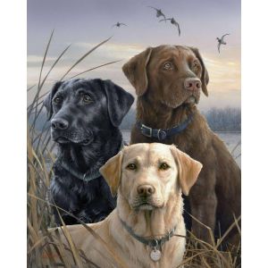 Peinture au num&eacute;ro : Trio de labrador - sans ch&acirc;ssis en bois
