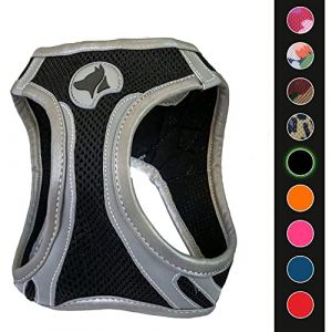 Croci Harnais Hiking réfléchissant noir : Taille m