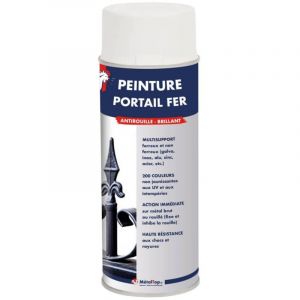 Peinture Portail Fer - Bleu nocturne - RAL 5022 - Bombe 400mL