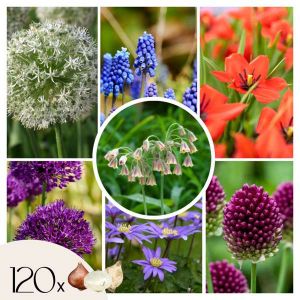 Happy Bee & Butterfly Mix - Bulbes x120 - Attirant pour les Papillons&Abeilles