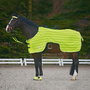 Waldhausen Couverture réfléchissante pour cheval