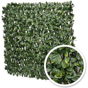 Treillis extensible Laurier Amande 2 m (2 treillis de 1 x 2 m)