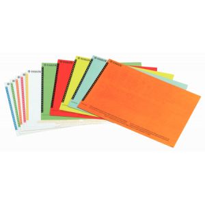 Image de Esselte 326400 - Sachet de 10 planches d'étiquettes Orgarex pour dossiers suspendus à armoire, coloris assortis