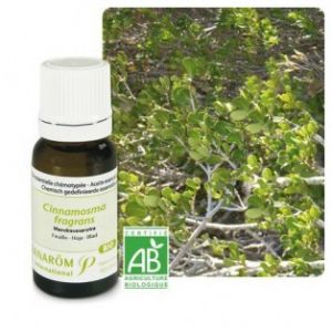 Image de Pranar&ocirc;m Huile essentielle de Mandravasarotra - 10 ml