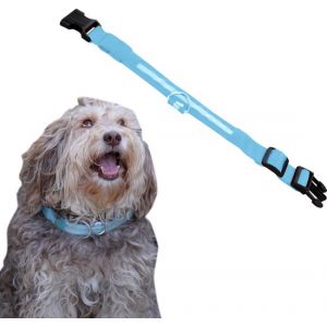 Image de Collier lumineux pour chien - Extra fort - XS 28 cm &agrave; 38 cm - Collier pour chien - Collier &agrave; mousqueton - Ajustable - R&eacute;fl&eacute;chissant