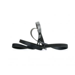 RIDEX Courroie Poly-V MERCEDES-BENZ,FORD,JAGUAR 305P0185 1303929,1416245,3S5Q6C301BA 6G9Q6C301CA,3968234,4071946,C2D19766,4892791AA,53008722,53010288