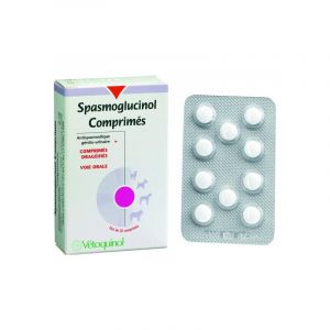 Vetoquinol Spasmoglucinol antispasmodiques 20 comprimés