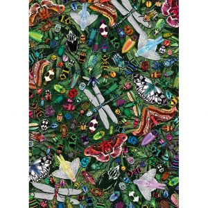Gibsons Le Dossier D'Art : Merveilles Ailées