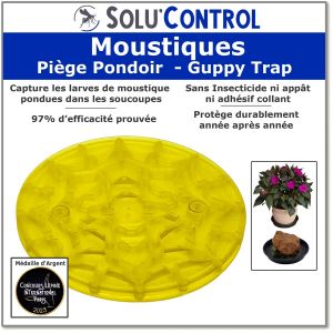 Tout Pour Les Nuisibles - 1 Guppy Trap, Piège Pondoir à Moustiques, Livré sans coupelle