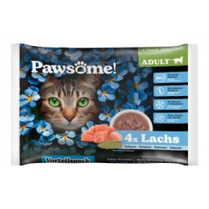 Pets Nature GmbH Pawsome adulte Flowpack Saumon 4x85 g